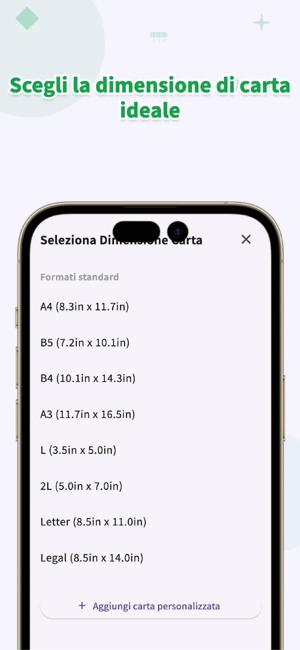 PitaPuri: Scegli la carta giusta