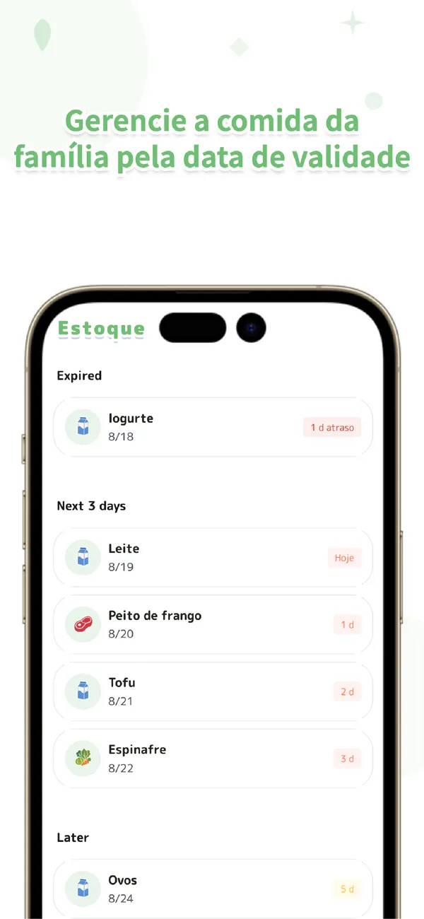 Otto - Geladeira compartilhada - Validade e compras em família (1/4)