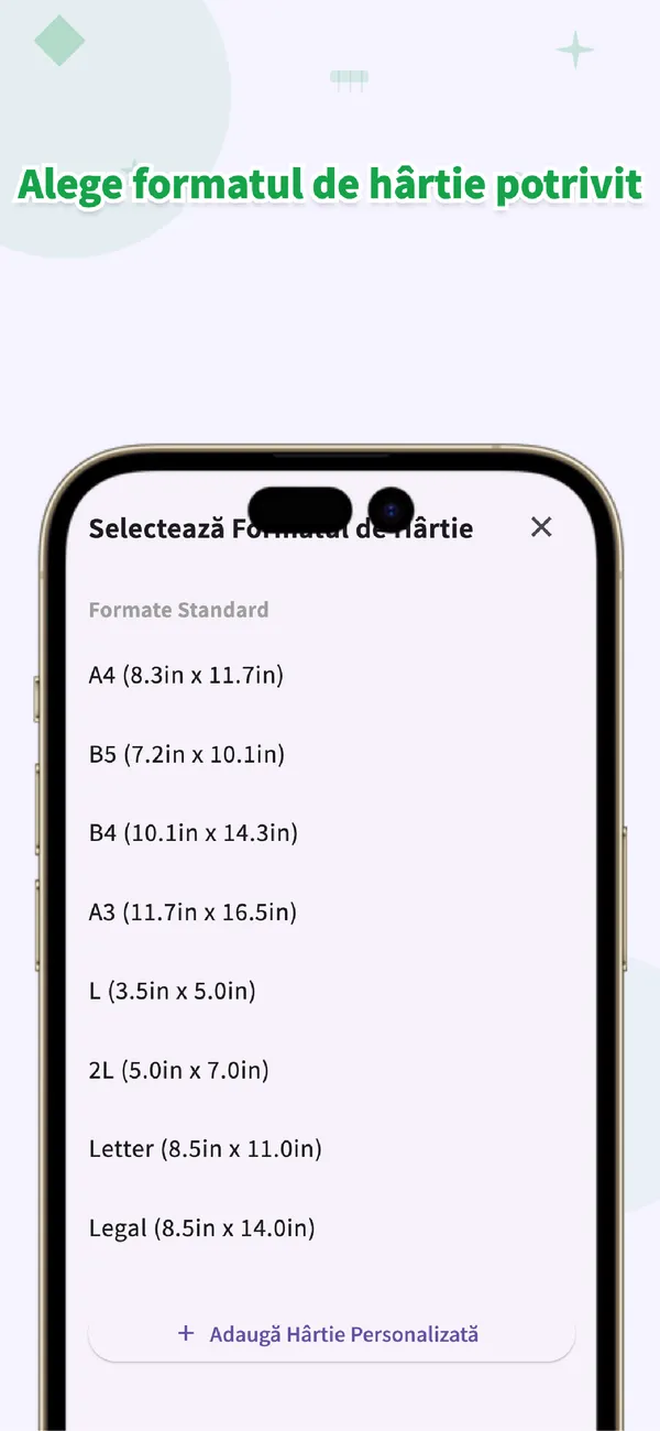 Perfect Print: Format exact - Exact în cm • Aspect A4 (4/4)
